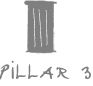 Pillar 3